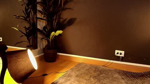 Maite online show from 02/01/25, 05:58