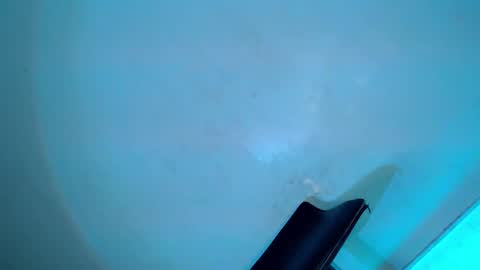 Serena online show from 02/08/25, 08:31