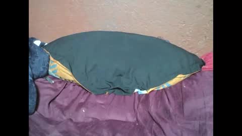 myaldiah online show from 02/17/25, 04:04