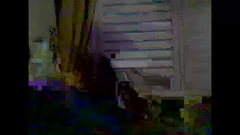Snapshot of mycockissohard2021 chatting on 05/02/26, 03:55 mycockissohard2021 online show from 05/02/26, 03:55
