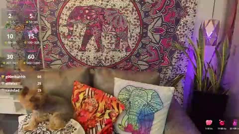 S A R A online show from 02/10/25, 08:21