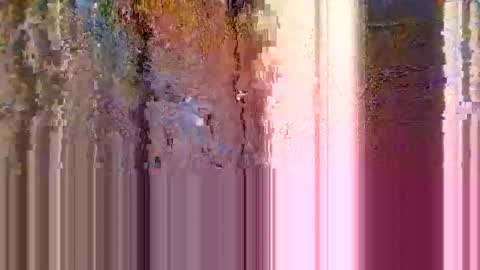 n1t3mar3420 online show from 11/01/25, 03:08