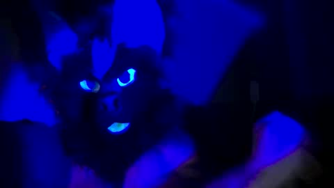 Snapshot of n33ds2br33d chatting on 10/19/25, 03:07 n33ds2br33d online show from 10/19/25, 03:07