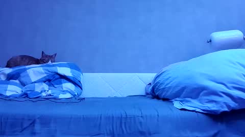 Snapshot of n3philim999 chatting on 10/12/25, 10:09 n3philim999 online show from 10/12/25, 10:09