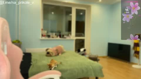 Snapshot of na_prikole_ chatting on 10/24/25, 05:20 Vanessa and Julia online show from 10/24/25, 05:20