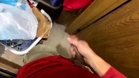 nairda2senoniuq online show from 12/05/24, 04:09