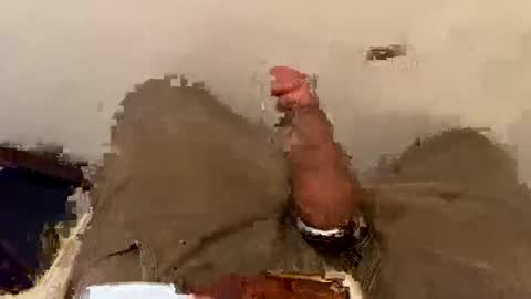 nairda2senoniuq online show from 03/08/25, 06:47