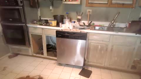 Snapshot of nakednate1780 chatting on 12/06/24, 01:29 nakednate1780 online show from 12/06/24, 01:29