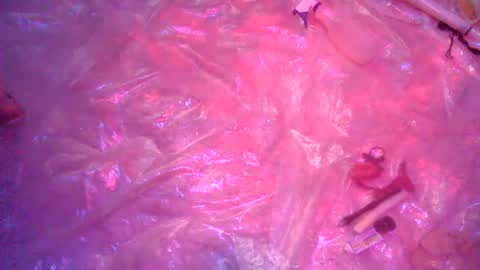 Snapshot of nakednate1780 chatting on 12/23/24, 06:22 nakednate1780 online show from 12/23/24, 06:22