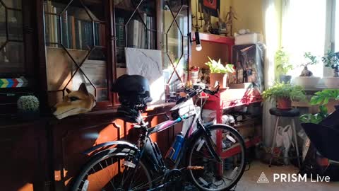 Snapshot of nakednudist72 chatting on 04/06/26, 06:47 Naked Naturist online show from 04/06/26, 06:47