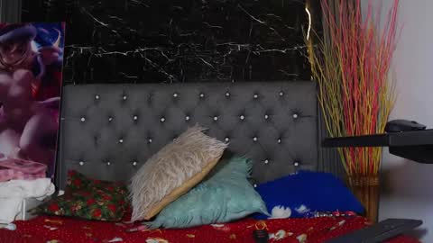 Snapshot of nalaroy chatting on 12/28/24, 11:19 NALAROY online show from 12/28/24, 11:19