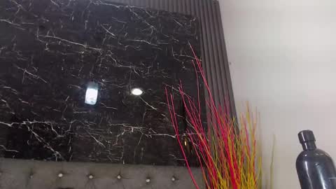 Snapshot of nalaroy chatting on 01/10/25, 03:16 NALAROY online show from 01/10/25, 03:16