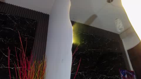 Snapshot of nalaroy chatting on 01/11/25, 12:40 NALAROY online show from 01/11/25, 12:40