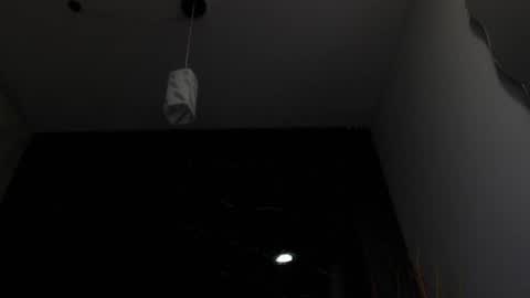 Snapshot of nalaroy chatting on 02/15/25, 12:01 NALAROY online show from 02/15/25, 12:01