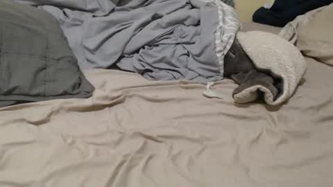 Snapshot of nalitonude chatting on 12/23/24, 12:03 nalitonude online show from 12/23/24, 12:03