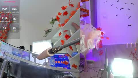 Snapshot of nancy_winter chatting on 11/06/25, 12:28 INSTAGRAM bekkercat online show from 11/06/25, 12:28