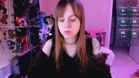 Monday-Friday 12-4 AM and 6-9 AM New York time online show from 02/24/25, 11:52