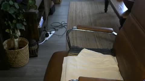 Snapshot of nareth338 chatting on 04/08/26, 02:50 nareth338 online show from 04/08/26, 02:50