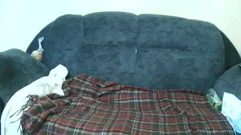 Snapshot of nastylily1 chatting on 01/17/26, 07:02 nastylily1 online show from 01/17/26, 07:02