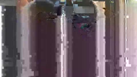 Snapshot of nastyyyyydoo chatting on 12/16/25, 08:41 nastyyyyydoo online show from 12/16/25, 08:41