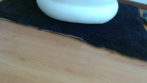 Snapshot of nath_dawson chatting on 01/16/25, 02:30 nath_dawson online show from 01/16/25, 02:30