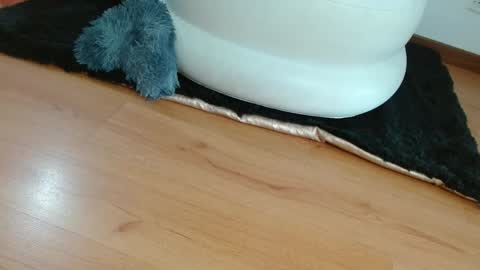 Snapshot of nath_dawson chatting on 01/28/25, 12:11 nath_dawson online show from 01/28/25, 12:11