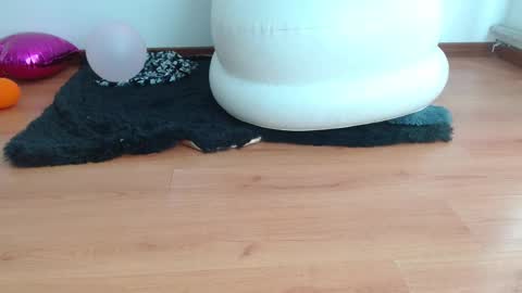 Snapshot of nath_dawson chatting on 02/16/25, 02:00 nath_dawson online show from 02/16/25, 02:00