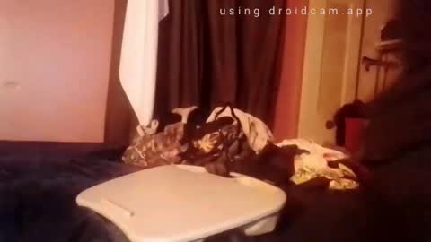 Snapshot of nathanbutler0 chatting on 11/01/25, 02:52 nathanbutler0 online show from 11/01/25, 02:52