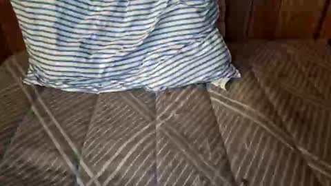 Snapshot of nativejoker_1995 chatting on 10/04/25, 09:13 nativejoker_1995 online show from 10/04/25, 09:13