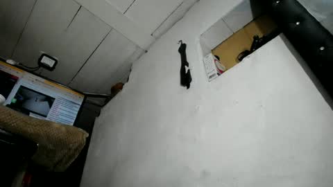 Snapshot of nattasha_foxx chatting on 06/23/26, 02:09 natalia online show from 06/23/26, 02:09