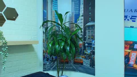 Kitten online show from 03/07/25, 10:24