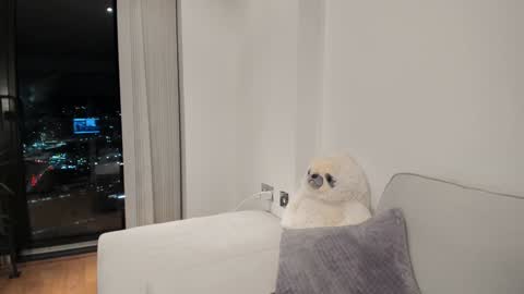 Snapshot of naughtynerdygirl chatting on 01/16/25, 06:16 Gigi Chu  online show from 01/16/25, 06:16