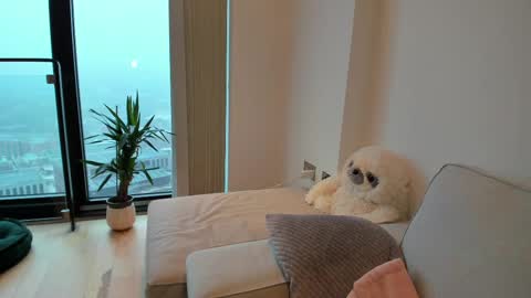 Snapshot of naughtynerdygirl chatting on 02/15/25, 08:44 Gigi Chu  online show from 02/15/25, 08:44