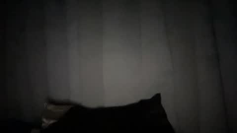 Rose Wilson online show from 01/06/25, 10:24