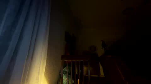 Snapshot of nboss55 chatting on 10/08/25, 05:16 nboss55 online show from 10/08/25, 05:16