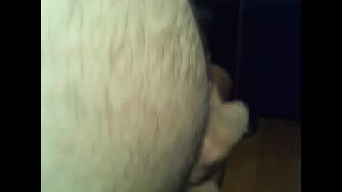 ncbncb online show from 12/01/24, 08:09