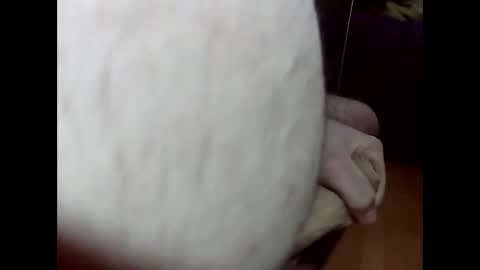 ncbncb online show from 03/01/25, 08:21