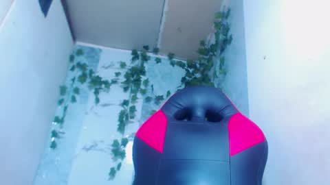 negrita online show from 02/12/26, 11:05