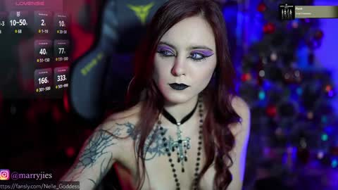 Snapshot of nelle_ chatting on 12/29/24, 10:23 online show from 12/29/24, 10:23