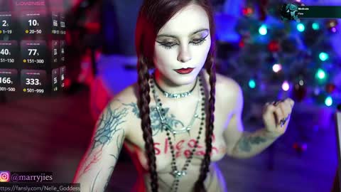 Snapshot of nelle_ chatting on 12/30/24, 04:19 online show from 12/30/24, 04:19