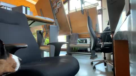 Snapshot of neneo21_ chatting on 01/13/25, 09:19 neneo21_ online show from 01/13/25, 09:19