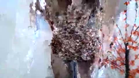 Snapshot of nerii11i chatting on 01/15/26, 07:46 Crystal New online show from 01/15/26, 07:46