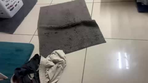 nesquick741960 online show from 12/22/25, 12:02