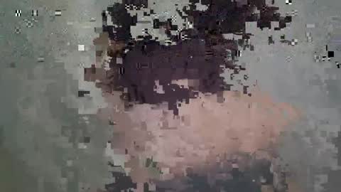 Snapshot of nesty_doll chatting on 03/18/26, 02:53 Anastasia online show from 03/18/26, 02:53