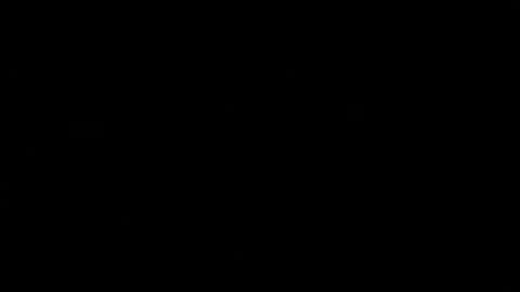 never_forget_this online show from 04/22/26, 07:48