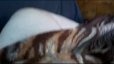 Snapshot of neverseentthatb4 chatting on 12/01/24, 07:36 Matt online show from 12/01/24, 07:36