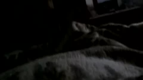 Snapshot of neverseentthatb4 chatting on 12/11/24, 07:42 Matt online show from 12/11/24, 07:42