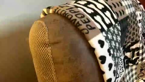 Snapshot of neverwinter44 chatting on 03/09/26, 06:06 neverwinter44 online show from 03/09/26, 06:06