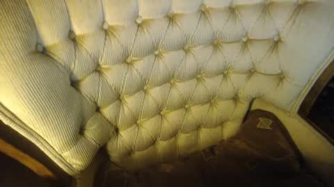 Lilly  online show from 01/25/25, 10:28