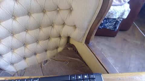 Lilly  online show from 02/23/25, 11:11